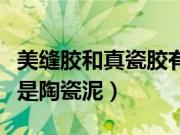 美缝胶和真瓷胶有什么区别（美缝用真瓷胶还是陶瓷泥）