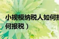 小规模纳税人如何报税视频（小规模纳税人如何报税）