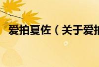 爱拍夏佐（关于爱拍夏佐的基本详情介绍）