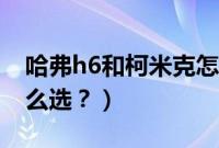 哈弗h6和柯米克怎么选（哈弗h6和柯米克怎么选？）