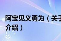 阿宝见义勇为（关于阿宝见义勇为的基本详情介绍）