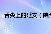 舌尖上的延安（陕西省延安小吃美食介绍）