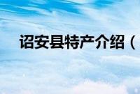 诏安县特产介绍（漳州诏安县特产大全）