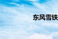 东风雪铁龙C3XR评测