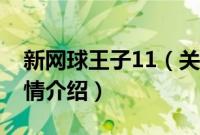 新网球王子11（关于新网球王子11的基本详情介绍）