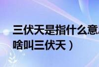 三伏天是指什么意思（三伏天是什么意思,为啥叫三伏天）