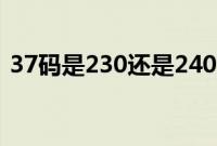 37码是230还是240（37码是230还是235）