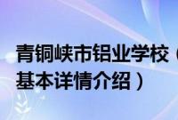 青铜峡市铝业学校（关于青铜峡市铝业学校的基本详情介绍）