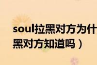 soul拉黑对方为什么从关注消失了（soul拉黑对方知道吗）