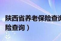 陕西省养老保险查询个人账户（陕西省养老保险查询）