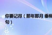 你要记得（那年那月 垂柳紫陌洛城东 垂杨紫陌洛城东下一句）