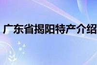 广东省揭阳特产介绍（广东省揭阳特产列表）