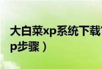 大白菜xp系统下载官网（大白菜winpe安装xp步骤）