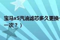 宝马x5汽油滤芯多久更换一次好（宝马x5汽油滤芯多久更换一次？）