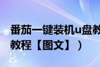 番茄一键装机u盘教程（windows7一键装机教程【图文】）