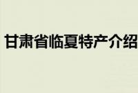 甘肃省临夏特产介绍（甘肃省临夏特产列表）