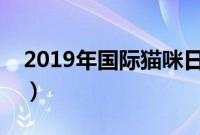 2019年国际猫咪日是几月几日（猫咪的种类）