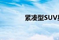 紧凑型SUV星途LX开启预售