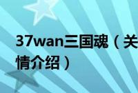 37wan三国魂（关于37wan三国魂的基本详情介绍）