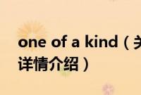 one of a kind（关于one of a kind的基本详情介绍）