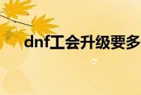 dnf工会升级要多少钱（dnf工会升级）