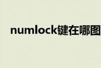 numlock键在哪图片（numlock键在哪）