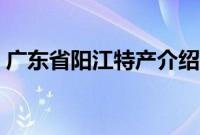 广东省阳江特产介绍（广东省阳江特产列表）