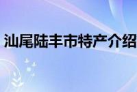 汕尾陆丰市特产介绍（汕尾陆丰市特产列表）