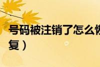 号码被注销了怎么恢复（号码被注销了怎么恢复）