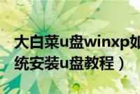 大白菜u盘winxp如何安装（大白菜winxp系统安装u盘教程）