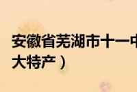 安徽省芜湖市十一中学官网（安徽省芜湖市十大特产）