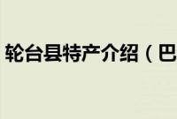 轮台县特产介绍（巴音郭楞轮台县特产大全）