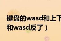 键盘的wasd和上下左右键反了（键盘方向键和wasd反了）