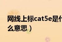 网线上标cat5e是什么意思（网线cat5e是什么意思）