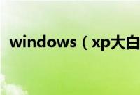 windows（xp大白菜u盘启动装系统教程）