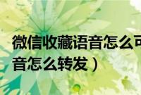 微信收藏语音怎么可以转发出去（微信收藏语音怎么转发）