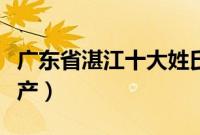 广东省湛江十大姓氏排行（广东省湛江十大特产）