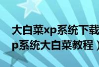 大白菜xp系统下载纯净版（怎样用u盘安装xp系统大白菜教程）