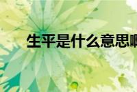 生平是什么意思啊（生平是什么意思）