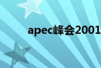 apec峰会2001（apec峰会2018）