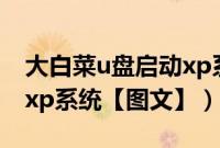 大白菜u盘启动xp系统（大白菜如何用u盘装xp系统【图文】）