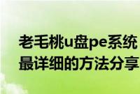 老毛桃u盘pe系统（老毛桃进入pe安装系统最详细的方法分享）