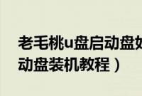 老毛桃u盘启动盘如何装系统（老毛桃u盘启动盘装机教程）