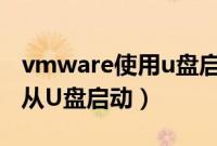 vmware使用u盘启动（VMware虚拟机怎么从U盘启动）