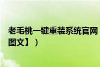 老毛桃一键重装系统官网（怎么通过老毛桃启动盘装系统【图文】）