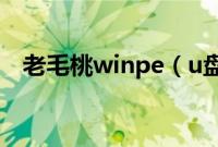 老毛桃winpe（u盘装系统最详细的教程）