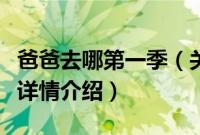 爸爸去哪第一季（关于爸爸去哪第一季的基本详情介绍）