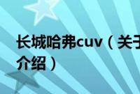 长城哈弗cuv（关于长城哈弗cuv的基本详情介绍）