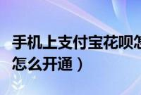 手机上支付宝花呗怎么开通（手机支付宝花呗怎么开通）