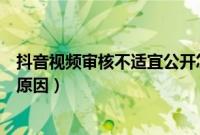 抖音视频审核不适宜公开怎么处理（抖音视频审核中是什么原因）